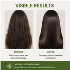 Elyndra Rosemary Shampoo with Rosemary Extract (200ml) - Strengthening & Refreshing